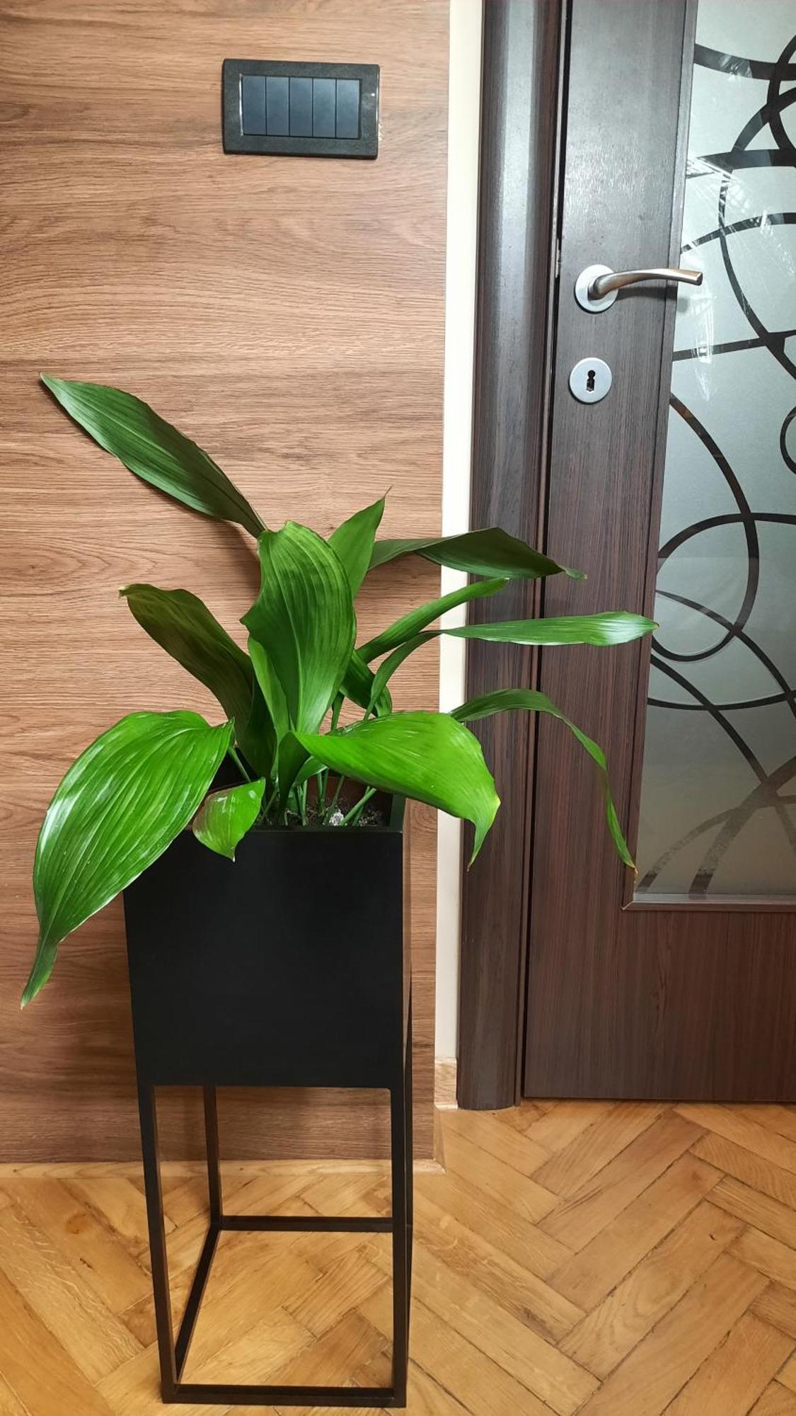 Stan Na Dan Apartman D Lux Jacuzzi 크라구예바츠 외부 사진